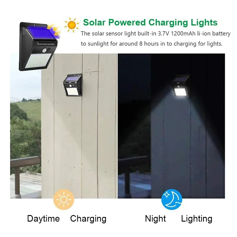 Panel LED Solar 10W y 20W | Iluminación Exterior Sustentable